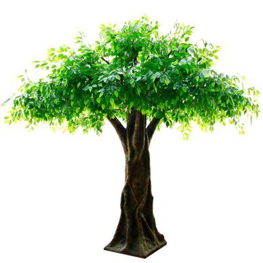 Zunanji umetno Jack sadnega drevja