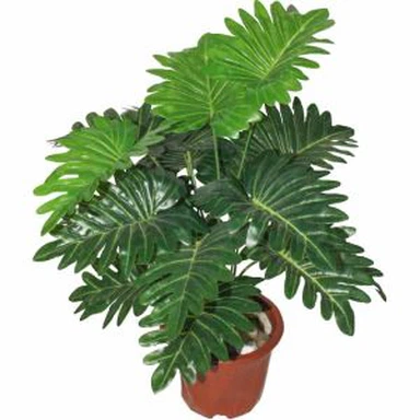 Umetne rastline Philodendron