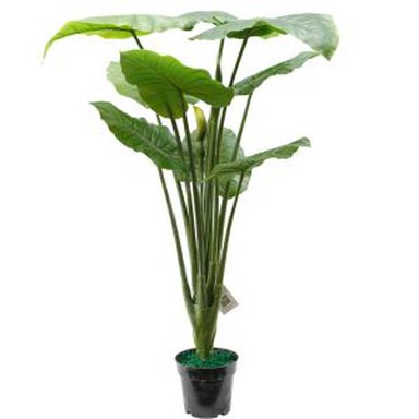 Umetna rastlina Taro