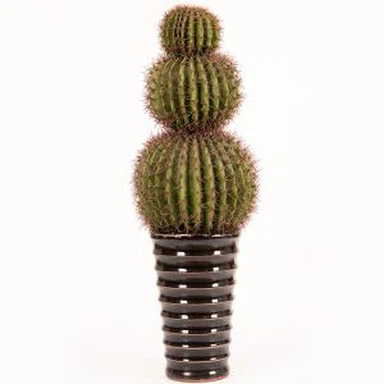 Velika žoga Real Touch Artificial Cactus