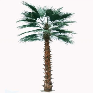 Umetno dvorano Ohranjeno palme